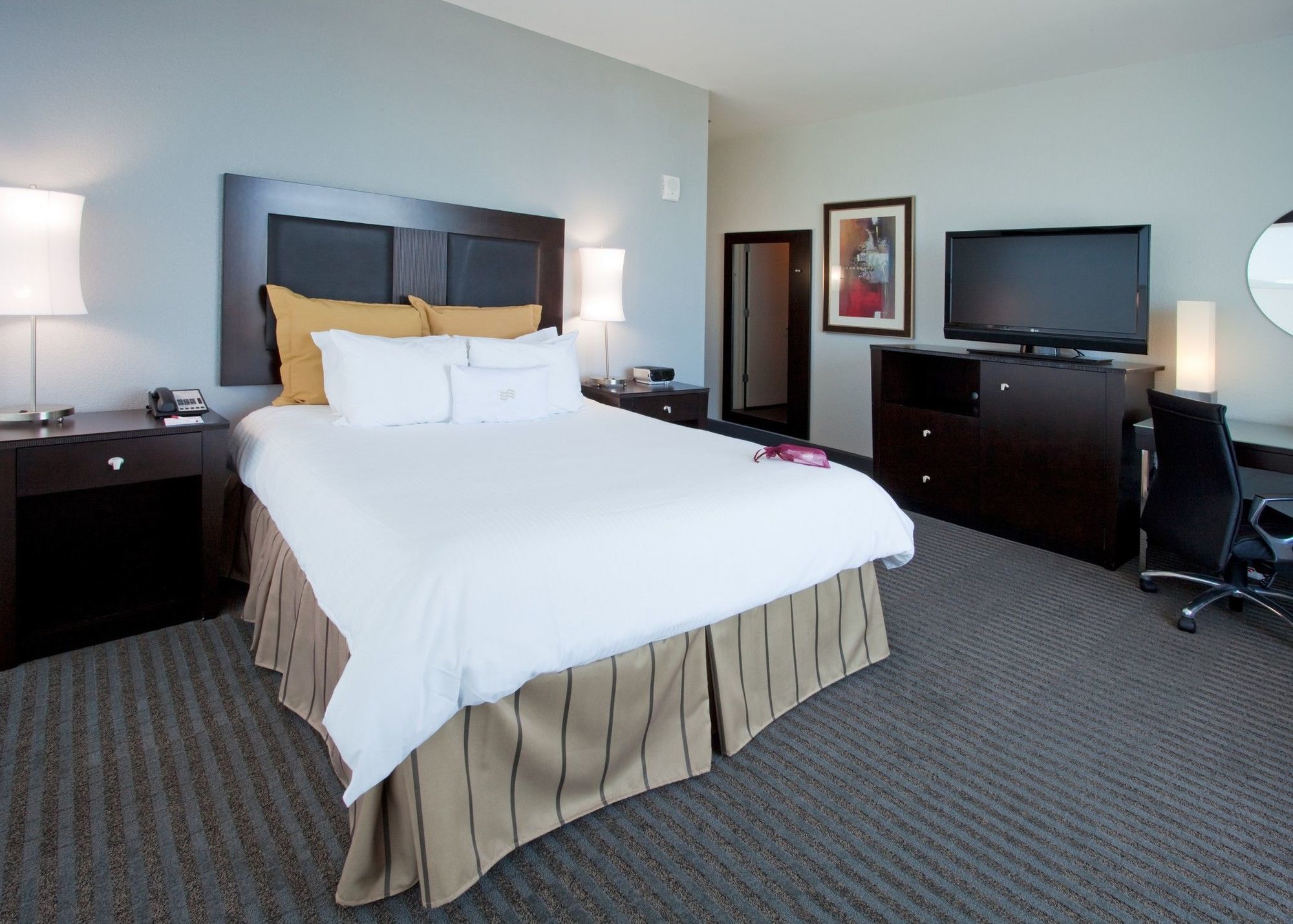 Hotel Alba Tampa, Tapestry Collection By Hilton חדר תמונה